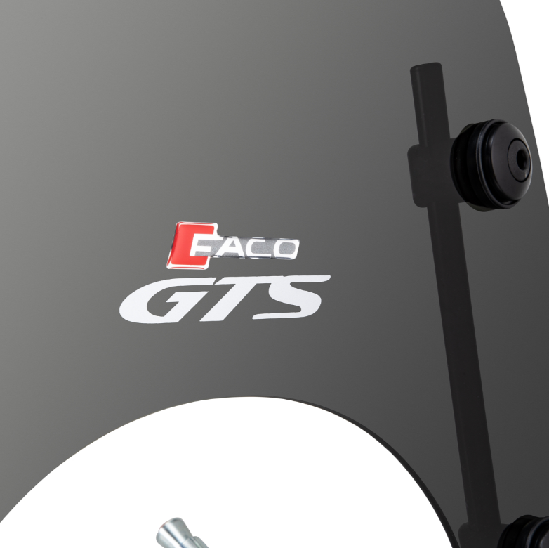 FACO windscherm voor Vespa GTS /GTS Super 125/300cc (`23-), getint