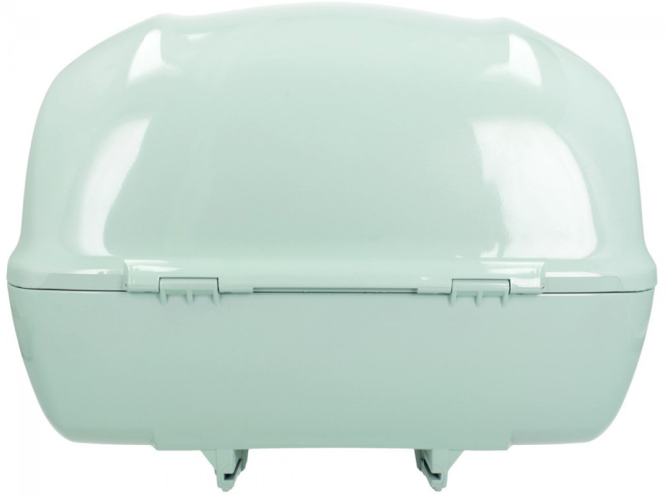 Originele topkoffer 32 l. voor Vespa Primavera / GTS Green Relax / Latte Menta 350/A