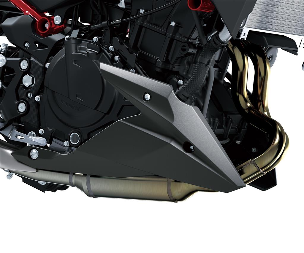 Frontspoiler voor Kawasaki Z 500 (24-) Origineel