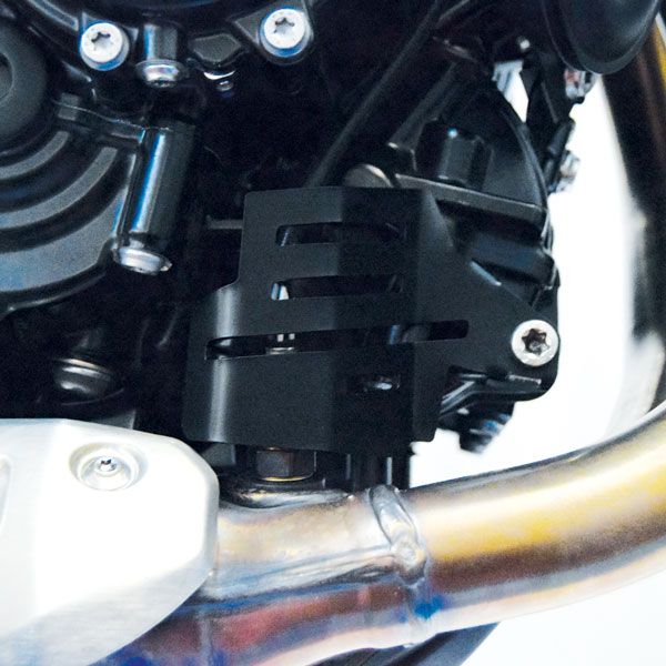 Lambdasondeafdekking voor BMW F 850 GS (18-22), roestvrij staal, zwart