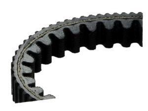 Dayco V-riem, Kevlar riem, 22x13x826 mm, versterkt