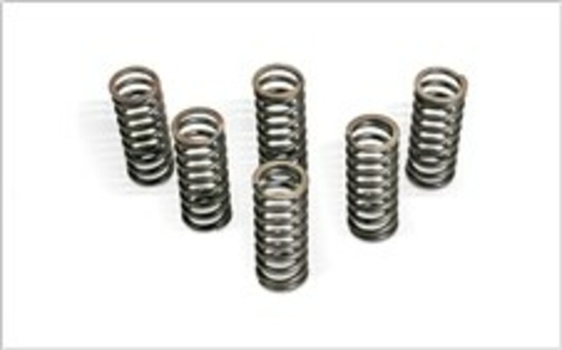 Barnett koppelingsveerset voor RM250 06-08